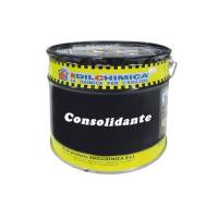 CONSOLIDANTE